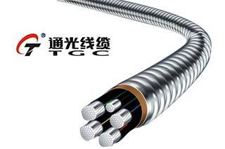 通光线缆2019年营收14.76亿元，光纤光缆业务因订单减少致收入下滑